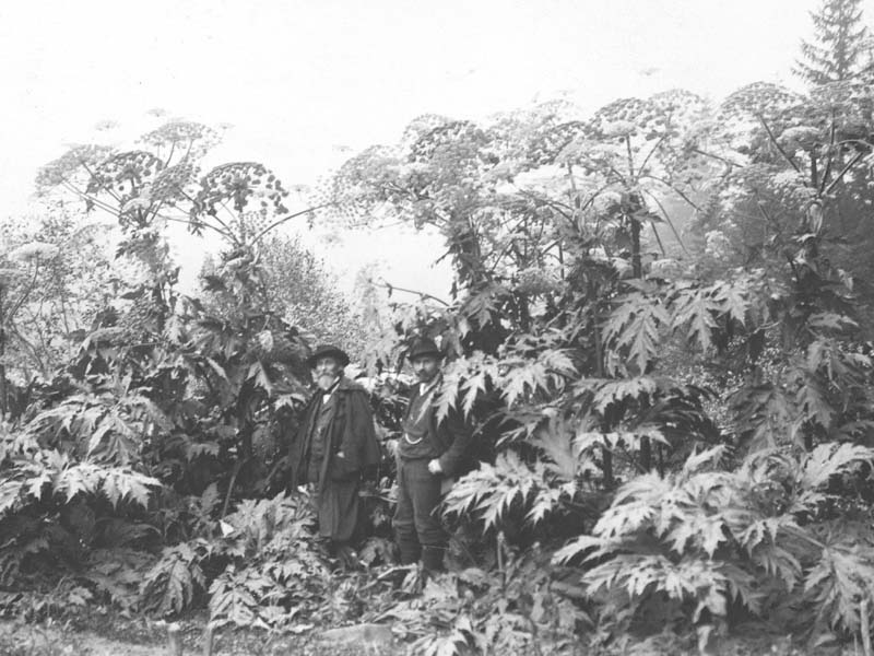 Prof. Dr. Schröter de Zürich et M. Pillichody, inspecteur forestier à la Vallée au pied des Berces du Caucase à Pont de Nant au début du XXe siècle.