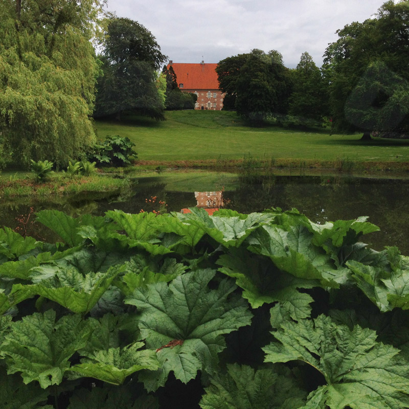 La façade du château et les gunnera du parc à Krapperup, Suède. Chartreuse de Basseville.